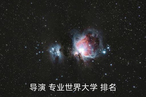 导演 专业世界大学 排名