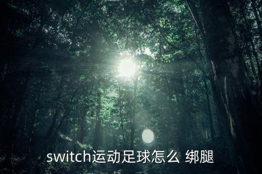 switch运动足球怎么 绑腿