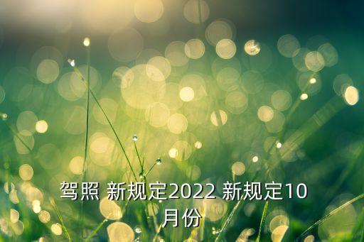  驾照 新规定2022 新规定10月份