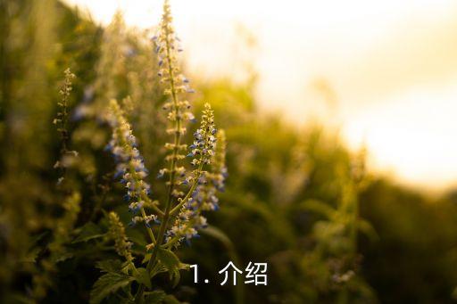 1. 介绍