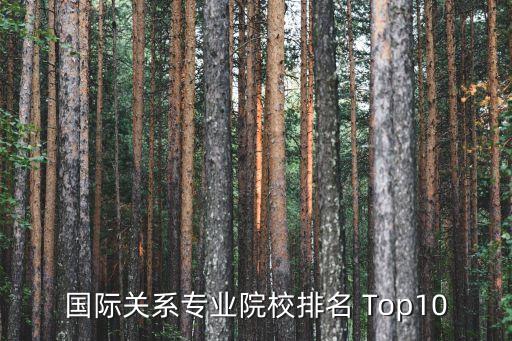 国际关系专业院校排名 Top10