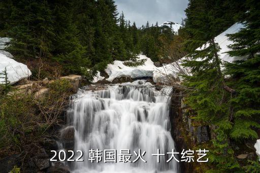 2022 韩国最火 十大综艺