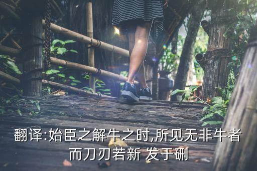 翻译:始臣之解牛之时,所见无非牛者而刀刃若新 发于硎