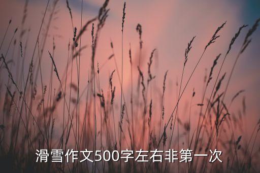 滑雪作文500字左右非第一次