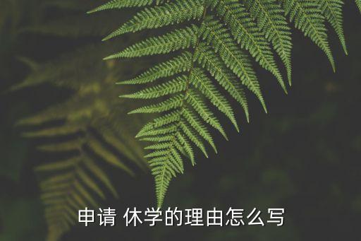 申请 休学的理由怎么写