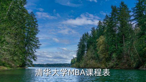 清华大学MBA课程表