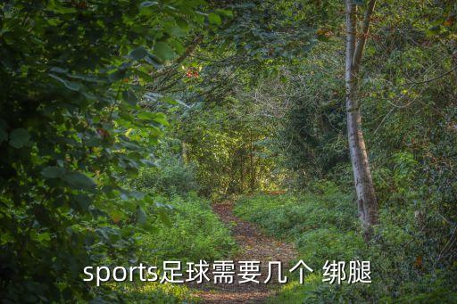 sports足球需要几个 绑腿