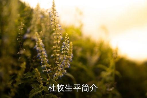 杜牧生平简介