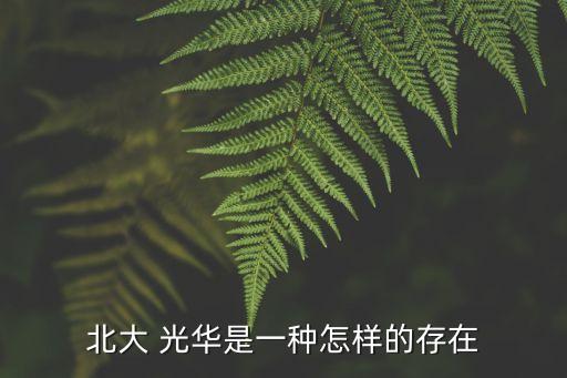 北大 光华是一种怎样的存在