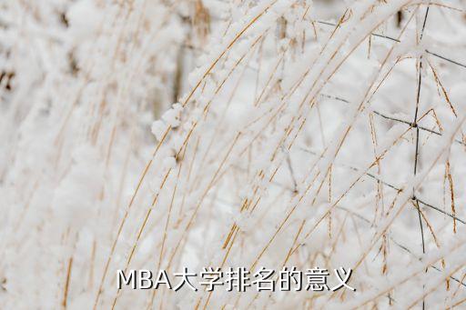  MBA大学排名的意义