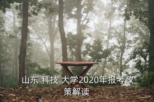  山东 科技 大学2020年报考政策解读