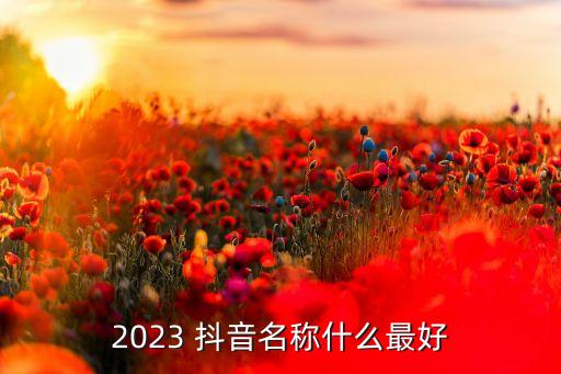 2023 抖音名称什么最好