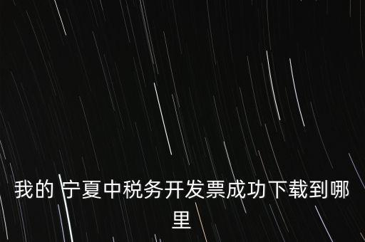 我的 宁夏中税务开发票成功下载到哪里