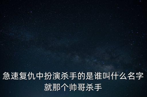 急速复仇中扮演杀手的是谁叫什么名字就那个帅哥杀手