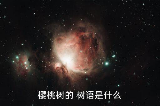 樱桃树的 树语是什么