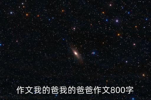 作文我的爸我的爸爸作文800字