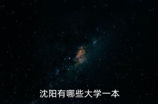  沈阳有哪些大学一本