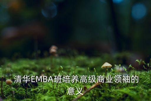  清华EMBA班培养高级商业领袖的意义