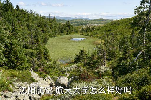 沈阳航空 航天大学怎么样好吗