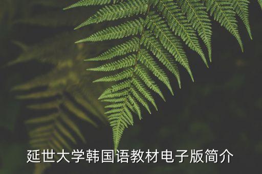 延世大学韩国语教材电子版简介