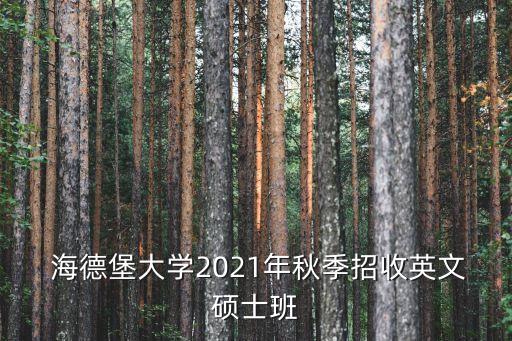  海德堡大学2021年秋季招收英文硕士班