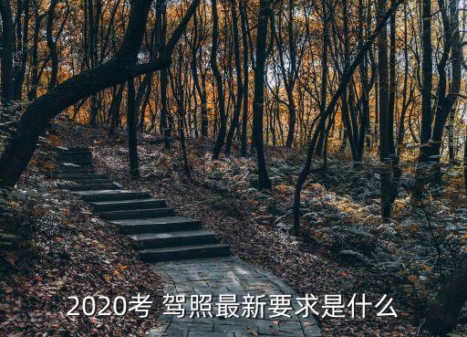 2020考 驾照最新要求是什么