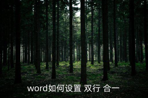 word如何设置 双行 合一