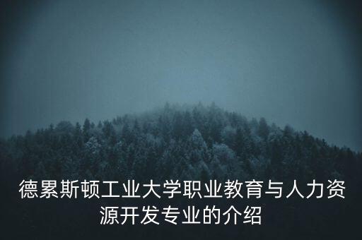  德累斯顿工业大学职业教育与人力资源开发专业的介绍