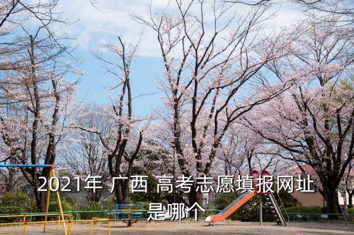 2021年 广西 高考志愿填报网址是哪个