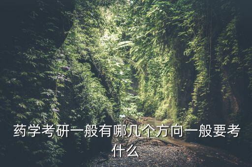  药学考研一般有哪几个方向一般要考什么