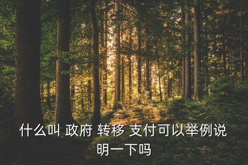 什么叫 政府 转移 支付可以举例说明一下吗