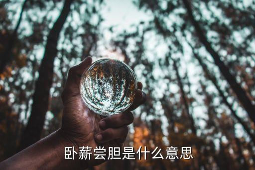  卧薪尝胆是什么意思