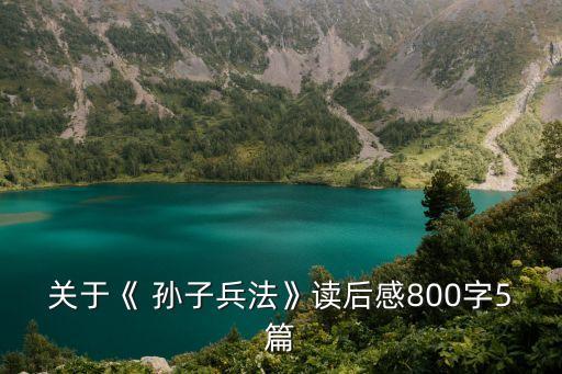 关于《 孙子兵法》读后感800字5篇