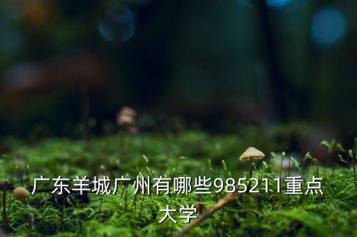 广东羊城广州有哪些985211重点大学