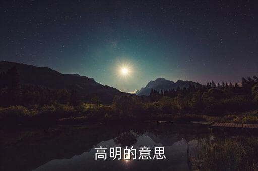  高明的意思