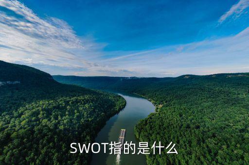 SWOT指的是什么