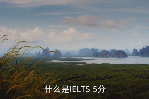  什么是IELTS 5分