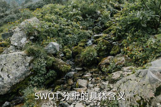 SWOT 分析的具体含义