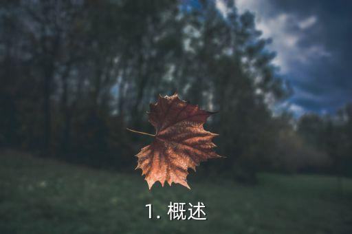 1. 概述