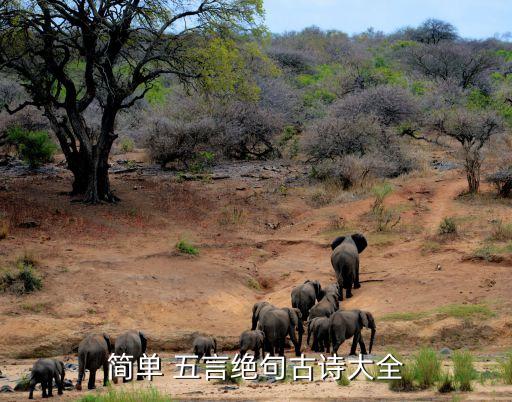 简单 五言绝句古诗大全