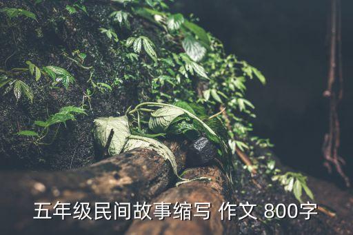 五年级民间故事缩写 作文 800字