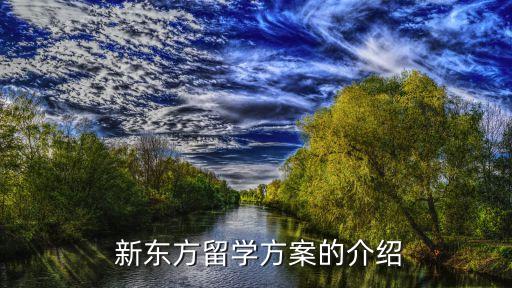  新东方留学方案的介绍