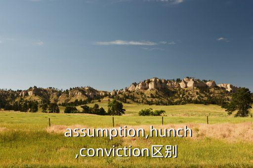  assumption,hunch,conviction区别