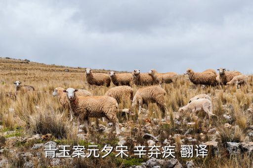 青玉案元夕宋 辛弃疾 翻译