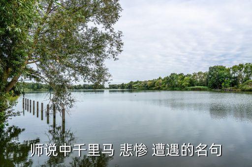 师说中千里马 悲惨 遭遇的名句