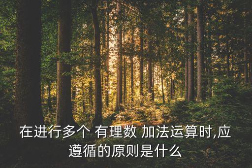 在进行多个 有理数 加法运算时,应遵循的原则是什么