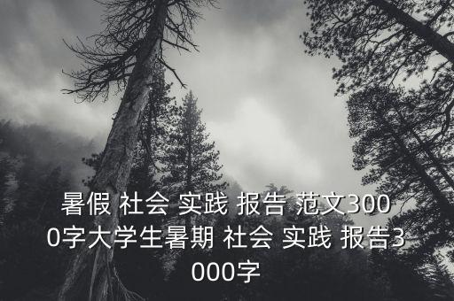 暑假 社会 实践 报告 范文3000字大学生暑期 社会 实践 报告3000字