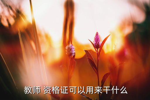  教师 资格证可以用来干什么