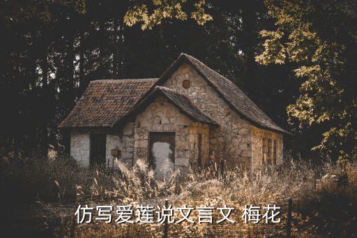 仿写爱莲说文言文 梅花