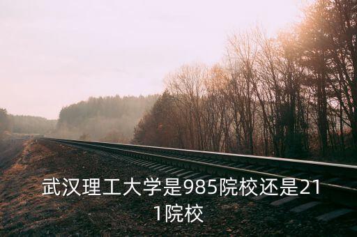  武汉理工大学是985院校还是211院校